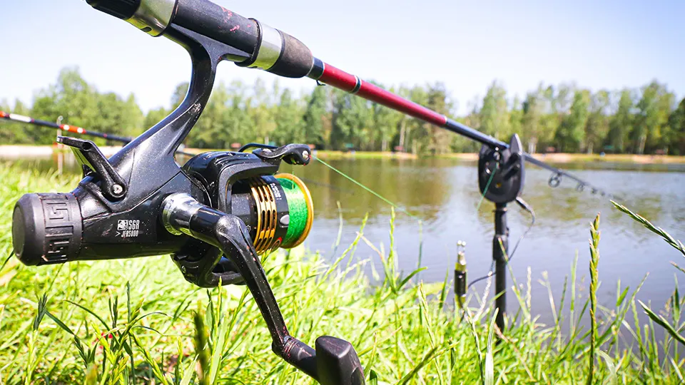 Фото: МедиаБанк Подмосковья/Данила Кирьянов