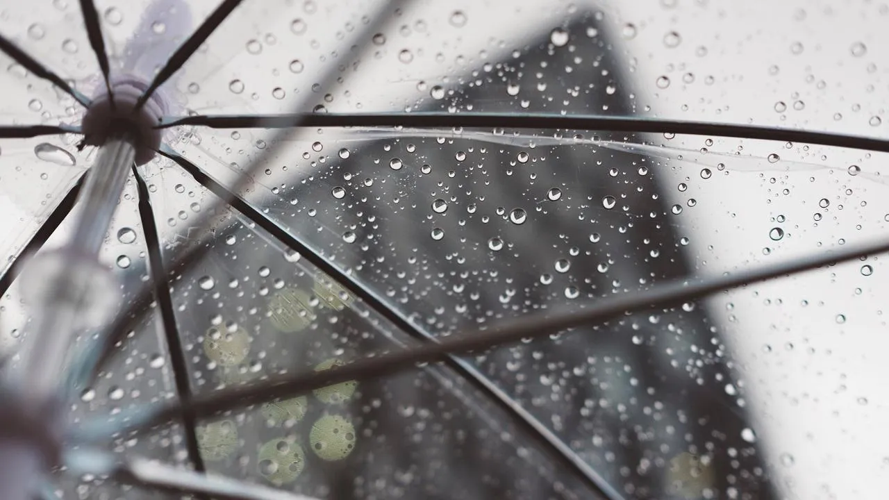 Unsplash
