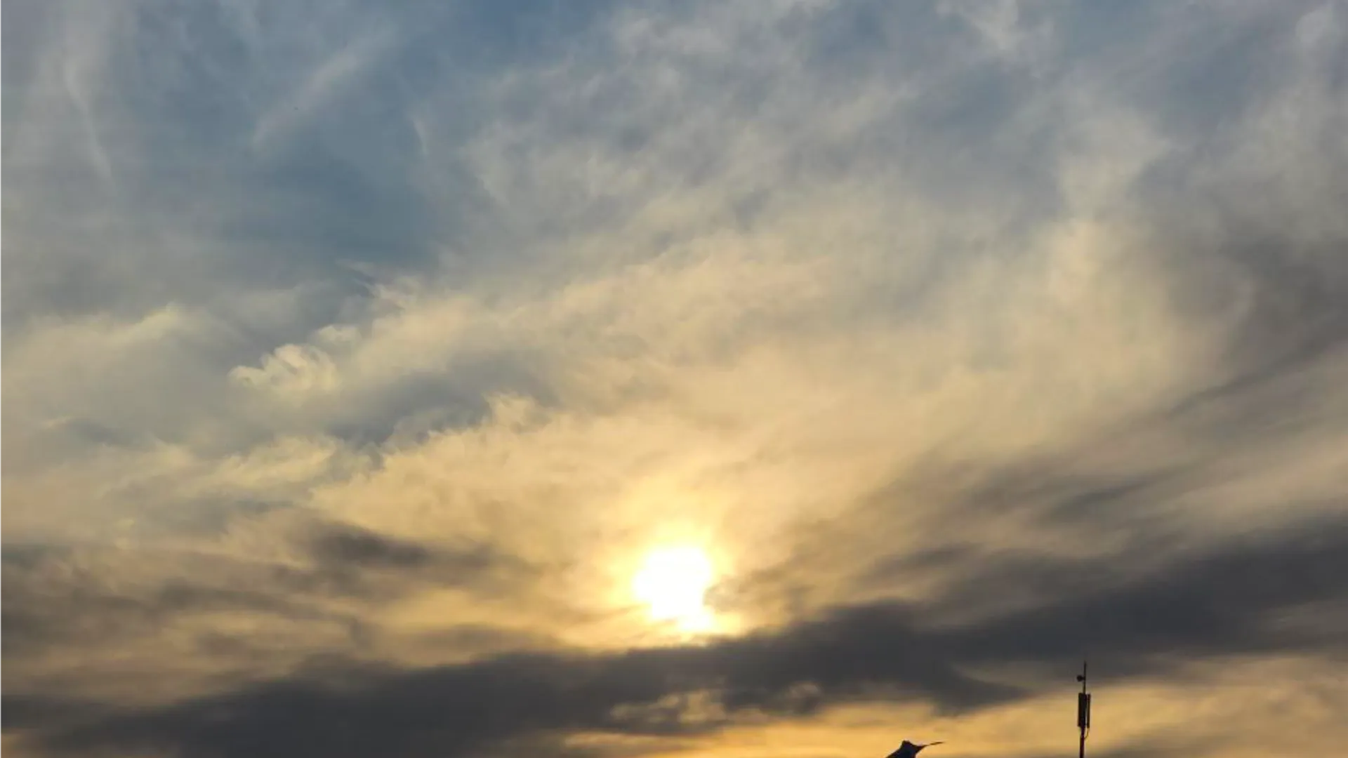 Фото: REGIONS/Ольга Ковалева