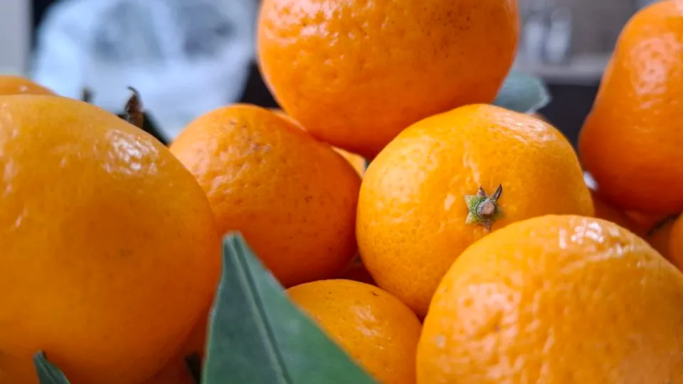 Фото: REGIONS/Юлия Габбасова