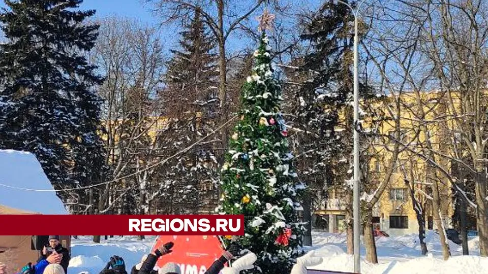 Фото: МедиаБанк Подмосковья/Дмитрий Павлов