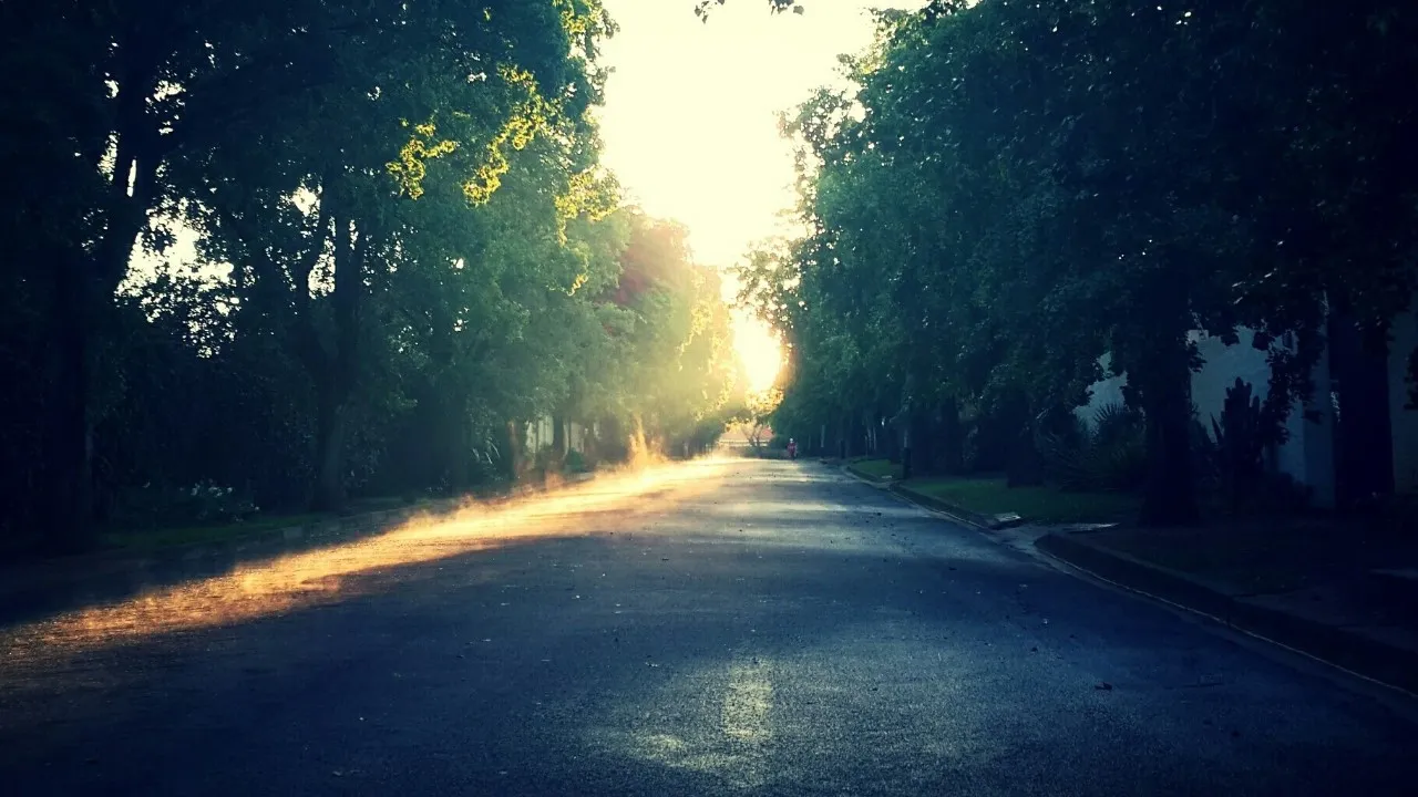 Фото: pxhere.com