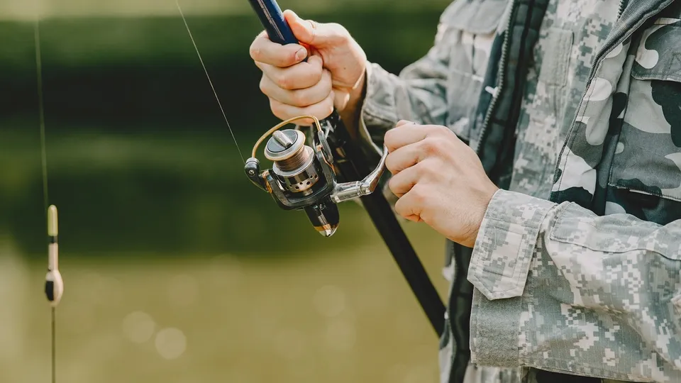 Фото: freepik.com