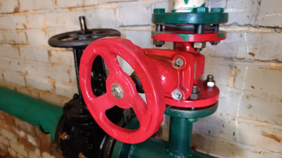 Фото: МедиаБанк Подмосковья/Ольга Антонова