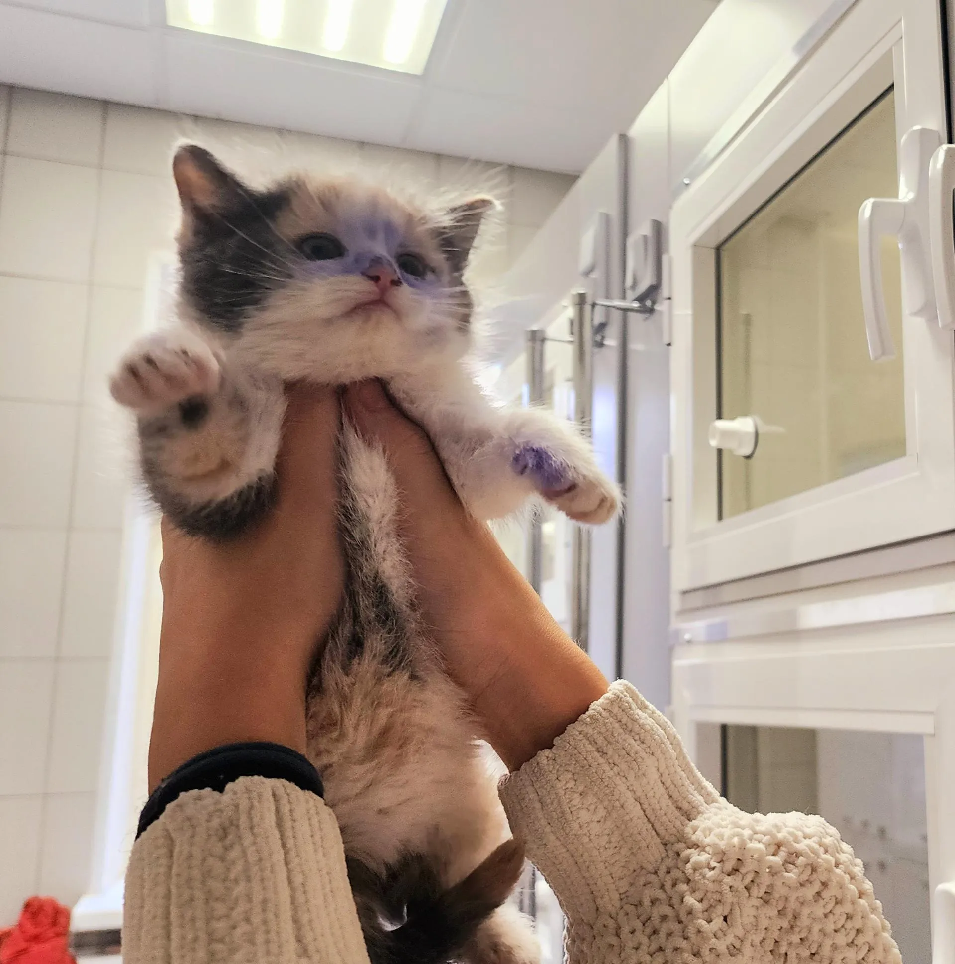 Дети кормили животных. Фото: Анастасия Сараева