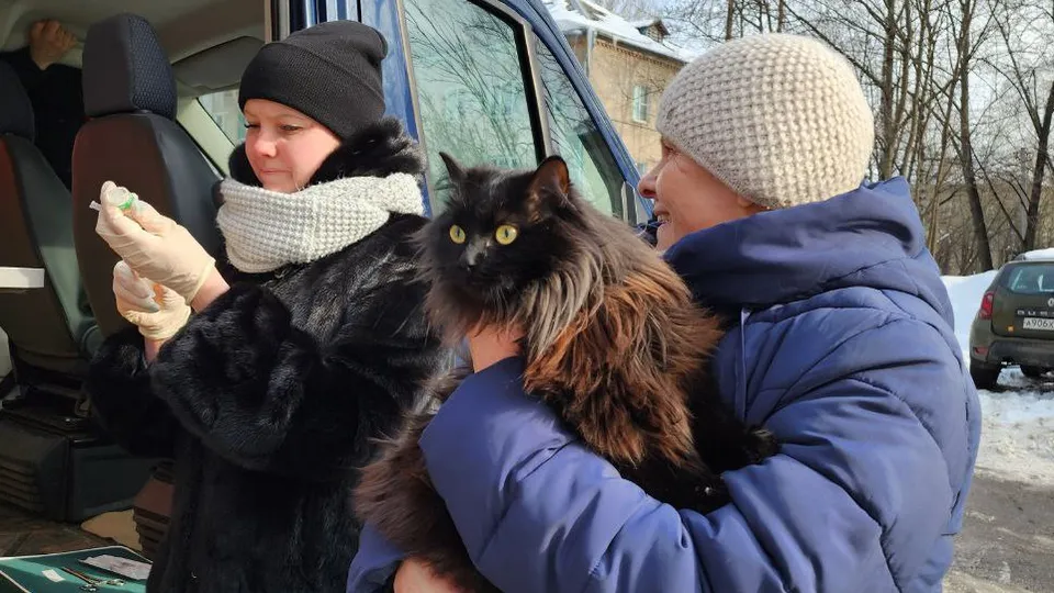 Фото: МедиаБанк Подмосковья/Наталья Лымарь