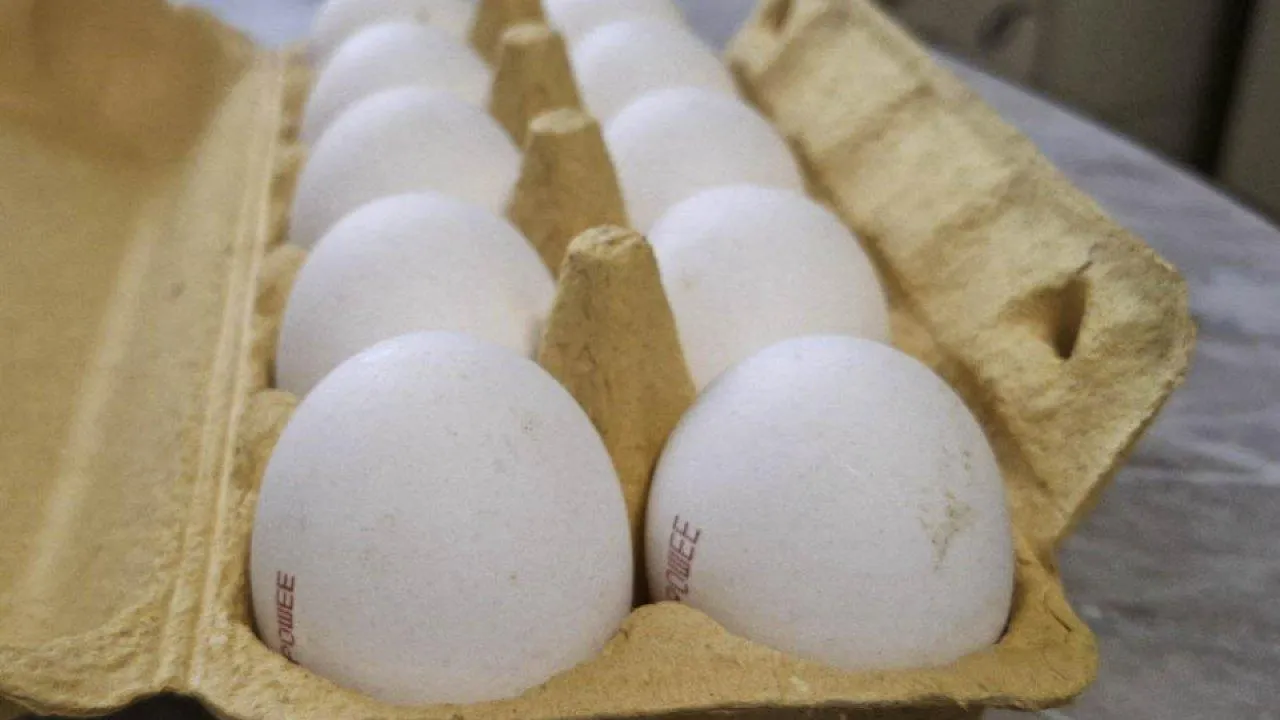 REGIONS/Юлия Габбасова