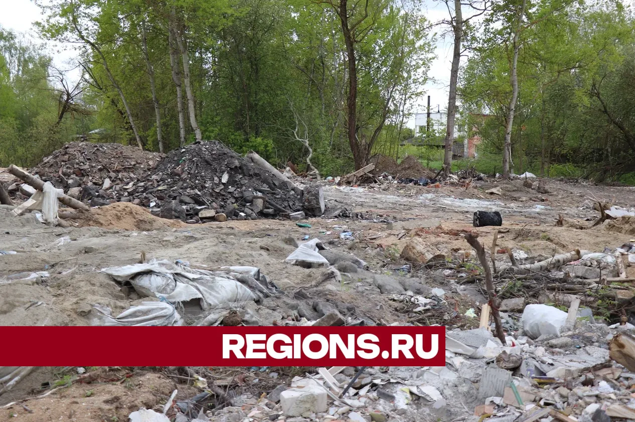 Фото: Regions / Василий Тремасов