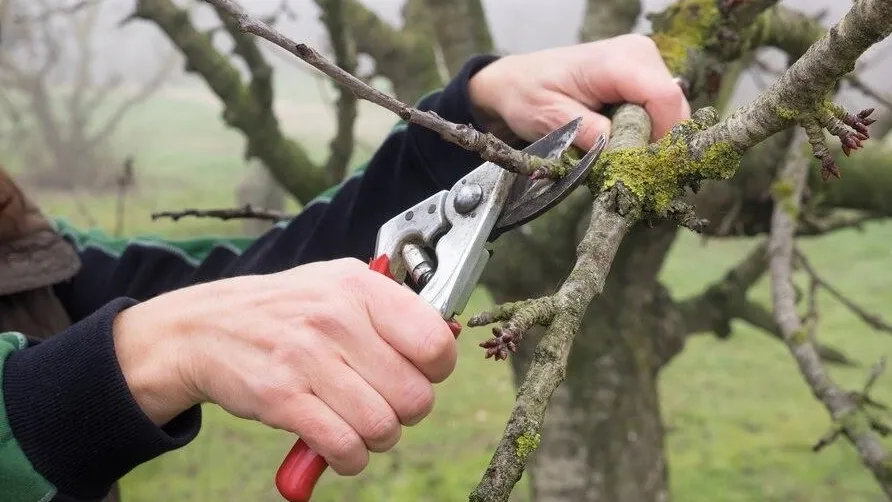 Фото: freepik.com