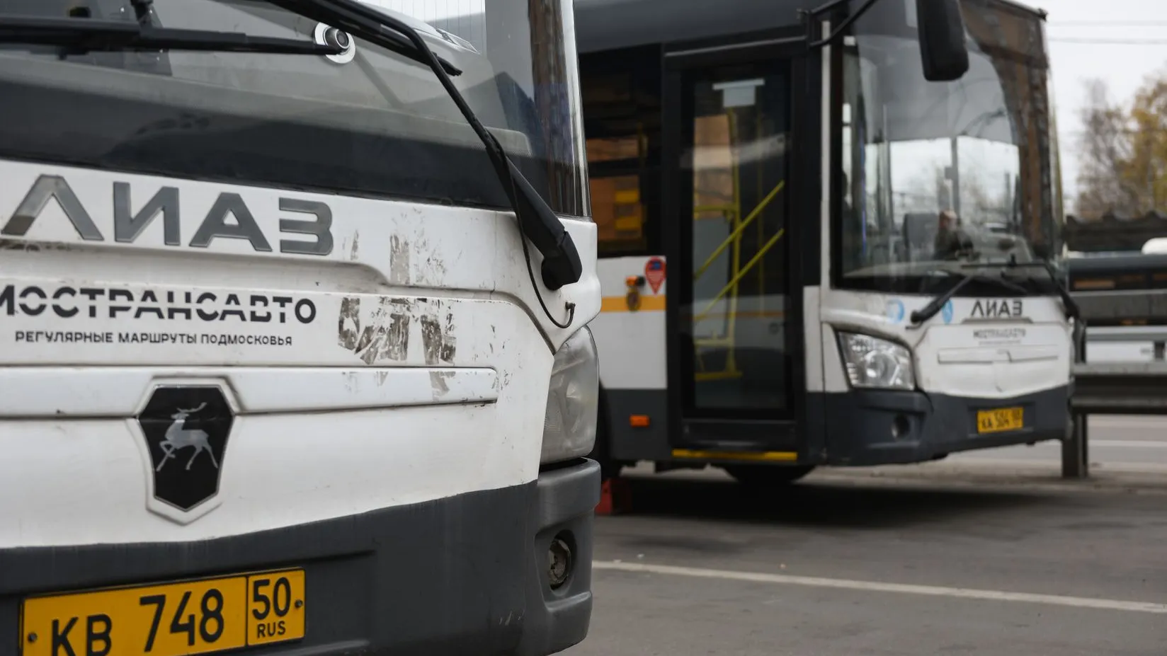 Фото: медиасток.рф