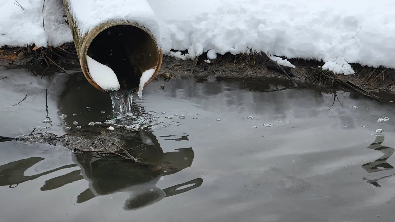 Фото: МедиаБанк Подмосковья/Никита Сморкалов