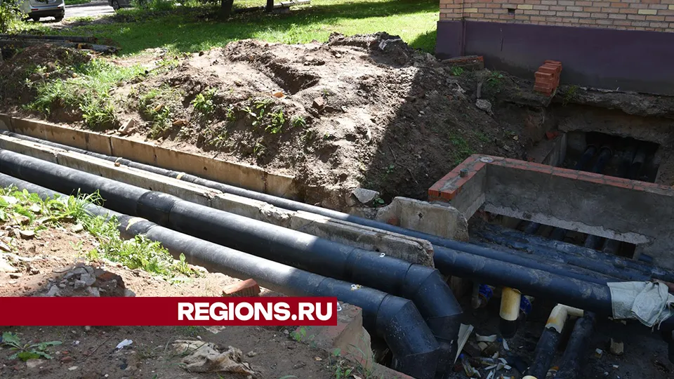 Фото: Владимир Останин