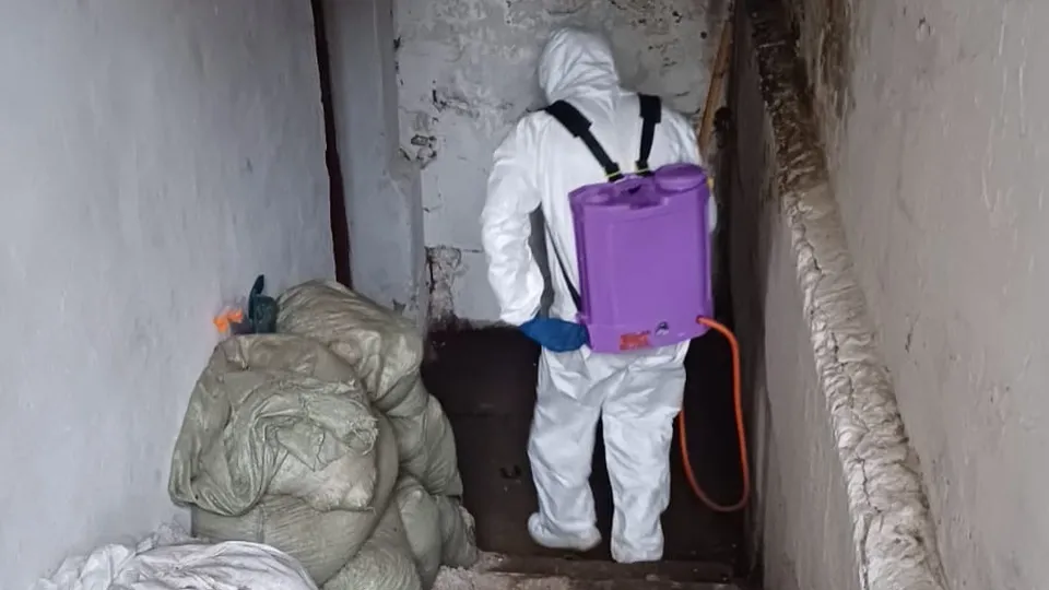 Фото: пресс-служба администрации г. о. Фрязино