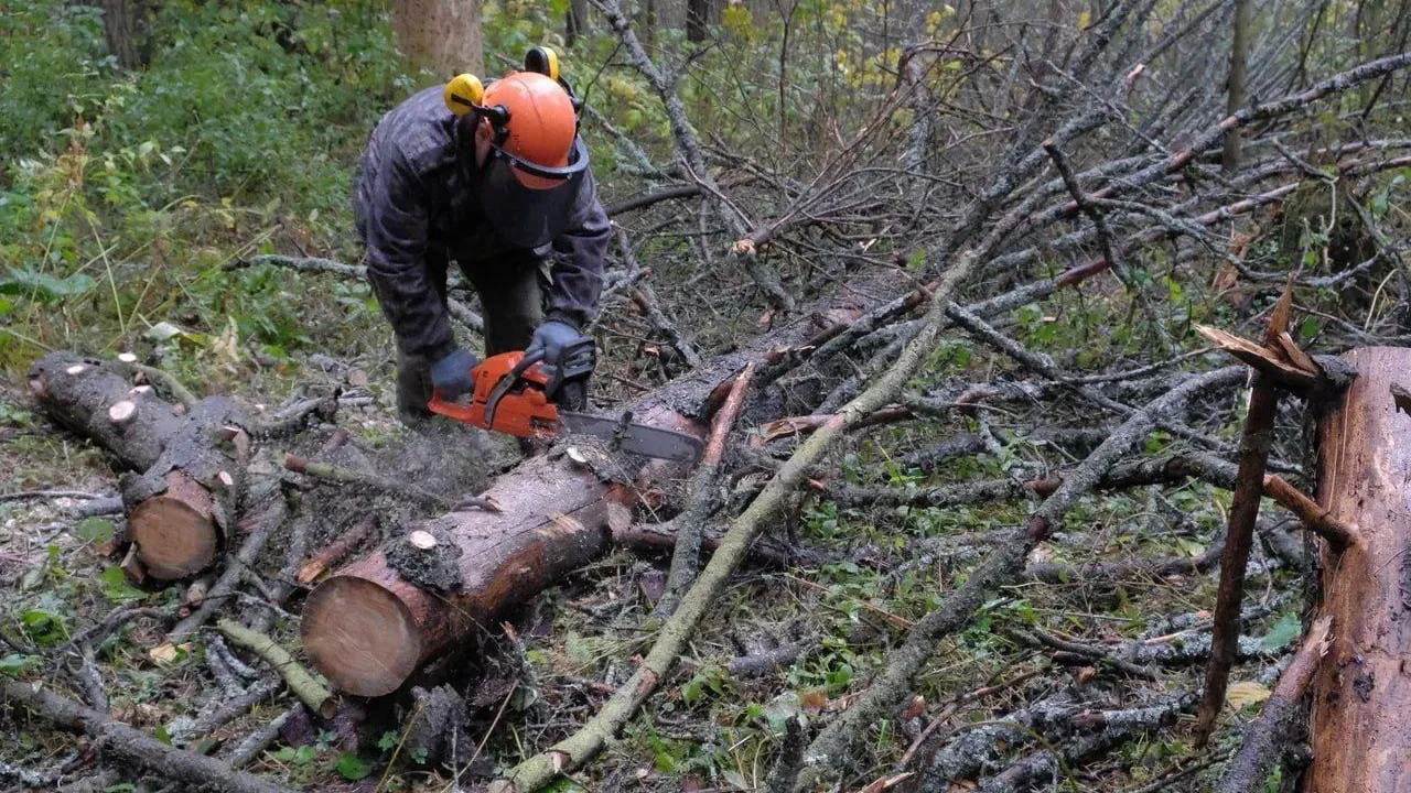 Фото пресс-службы администрации округа