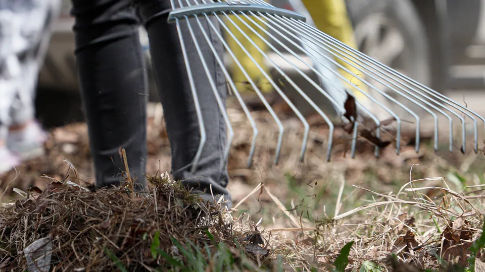 Фото: REGIONS/Наталия Надточая