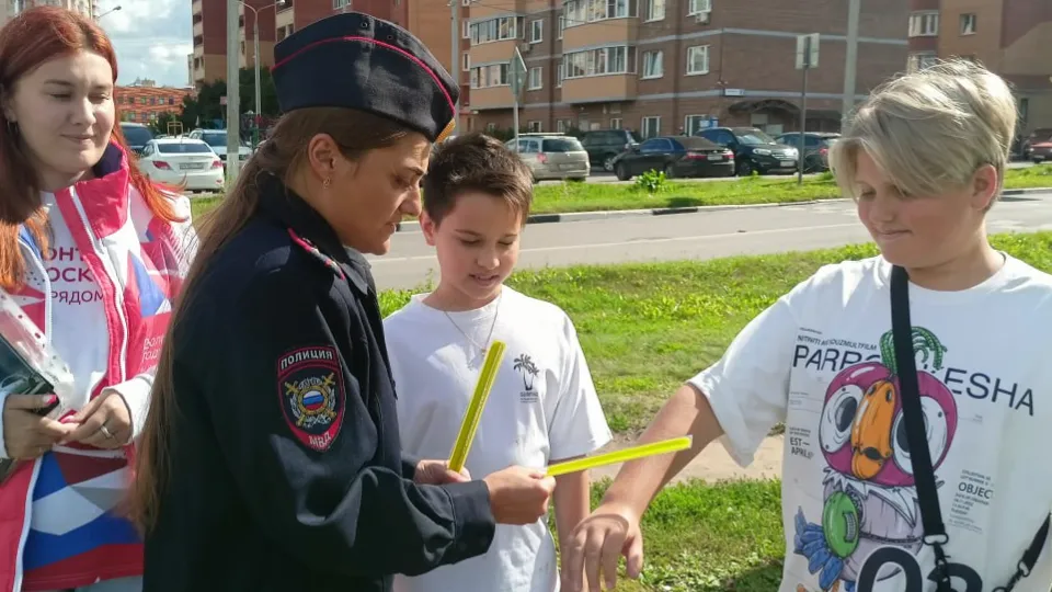 Фото: Госавтоинспекция УМВД России по г. о. Домодедово