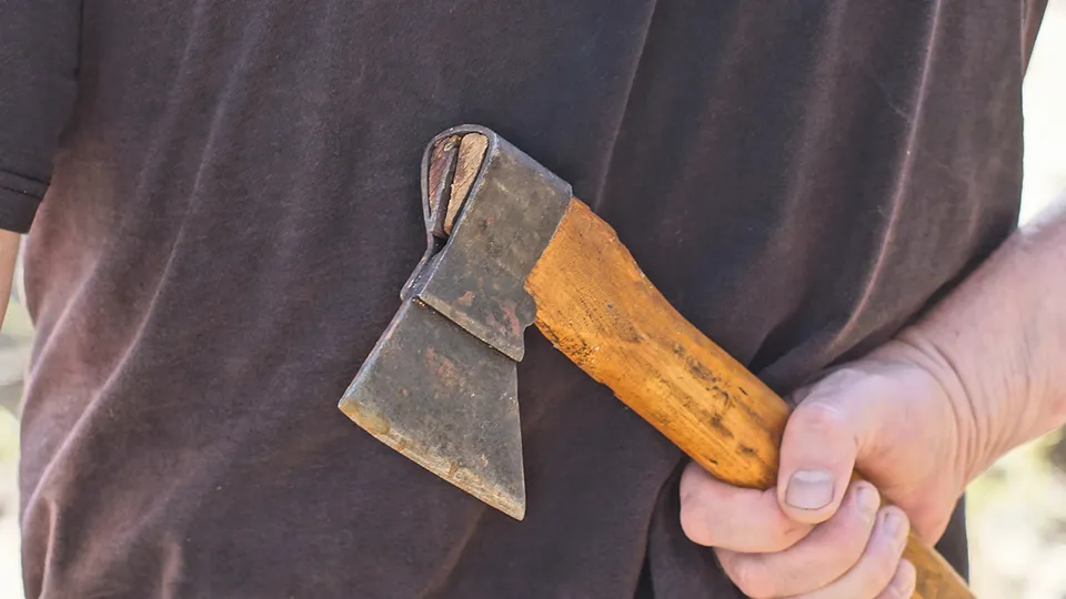 Фото: istockphoto.com/Анатолий Тушенцов