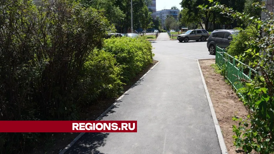 Фото: Дмитрий Зайчиков