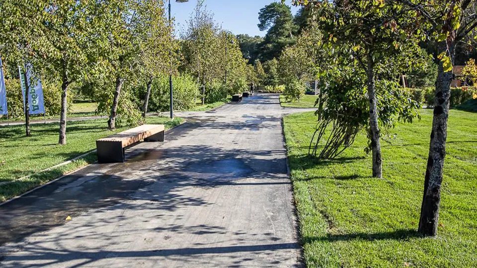 Фото: пресс-служба администрации Одинцовского г. о.