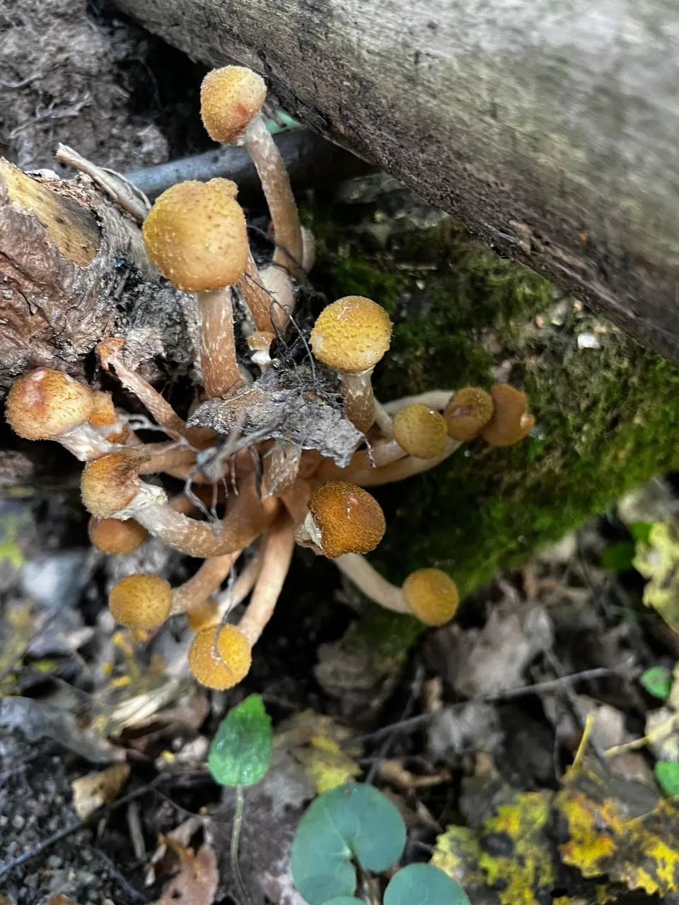 Фото: Анна Токорева