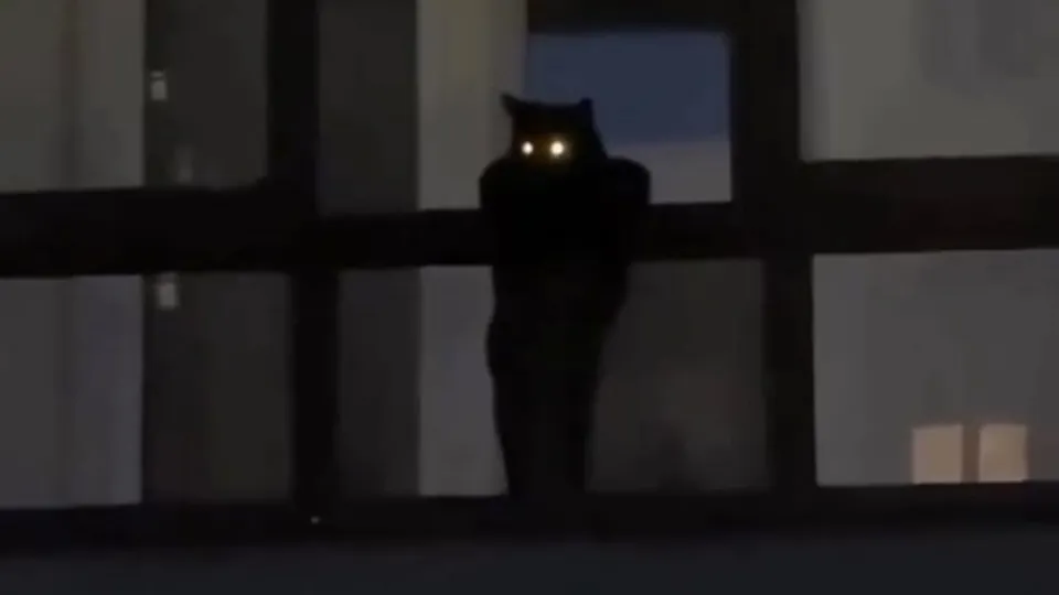 Фото: Вконтакте/ Лыткарино Подлсушано