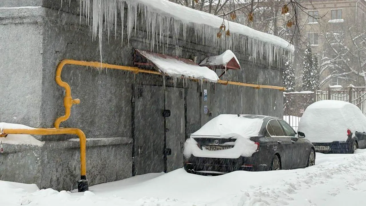 REGIONS/Полина Крачун