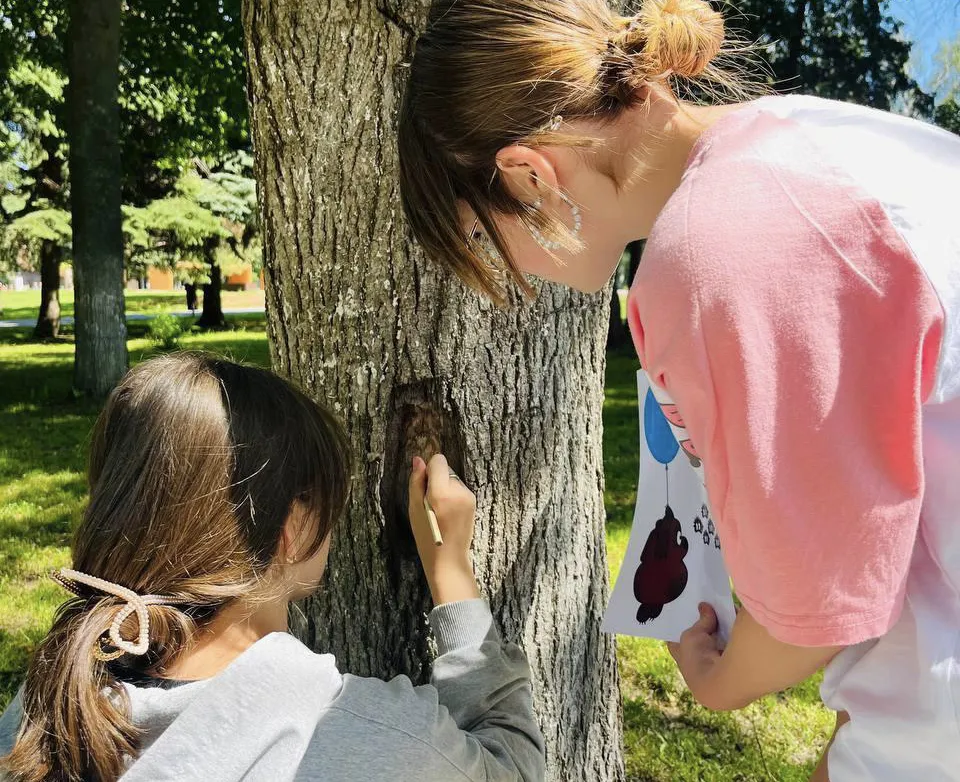 Фото: Зарайский центральный парк культуры и отдыха