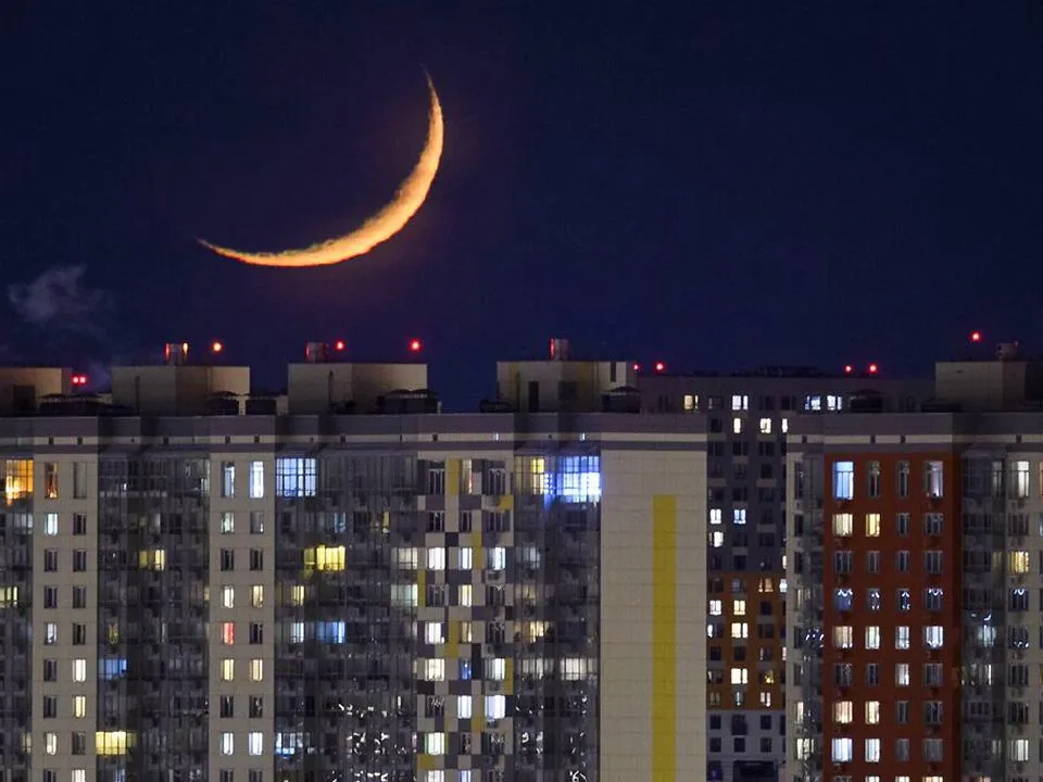 «Становятся агрессивными»: выяснилось, кто особенно активизируется в Черное новолуние