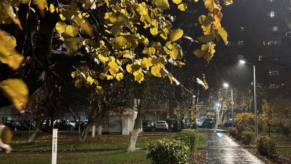 Фото: МедиаБанк Подмосковья/Полина Легейда