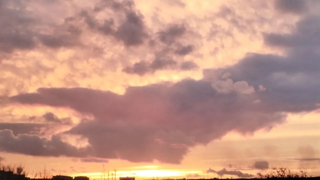 REGIONS/Юлия Куделькина