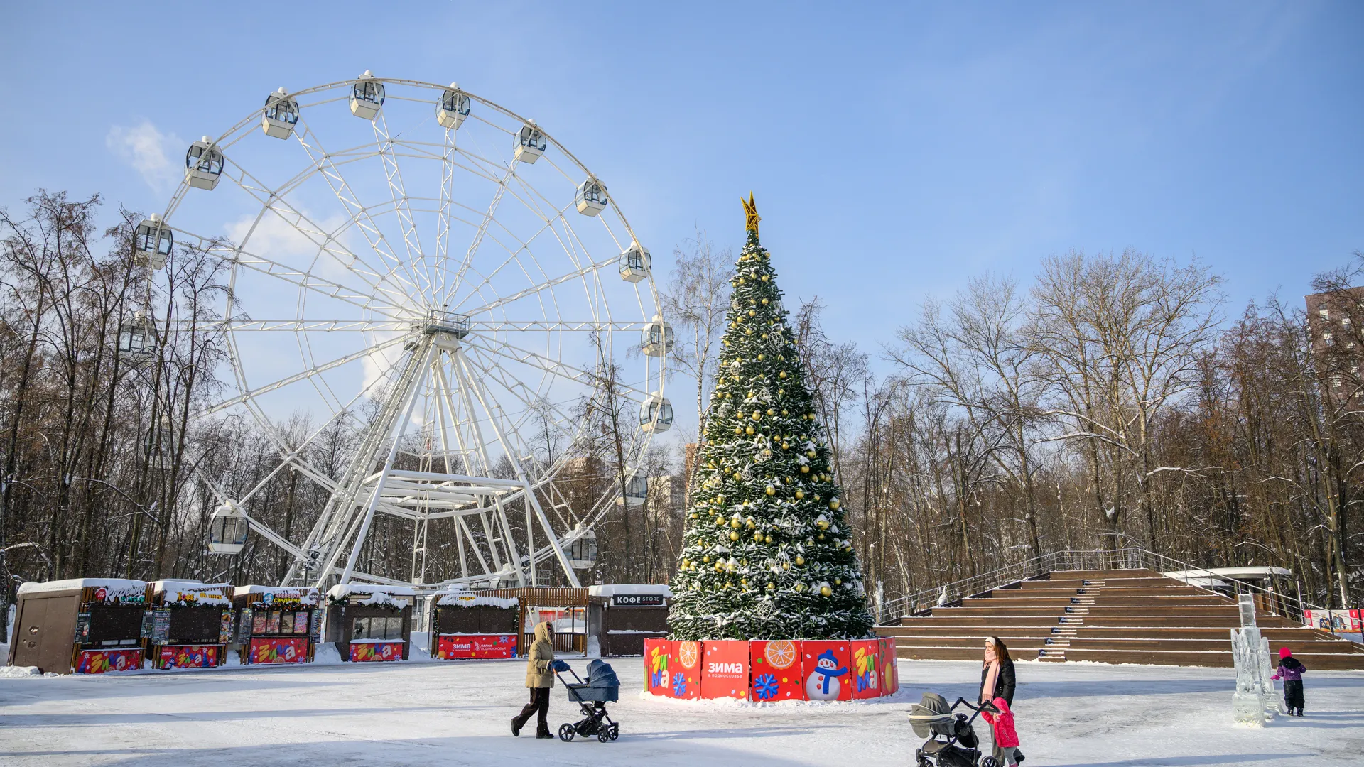Наташинский парк зимой в Люберцах