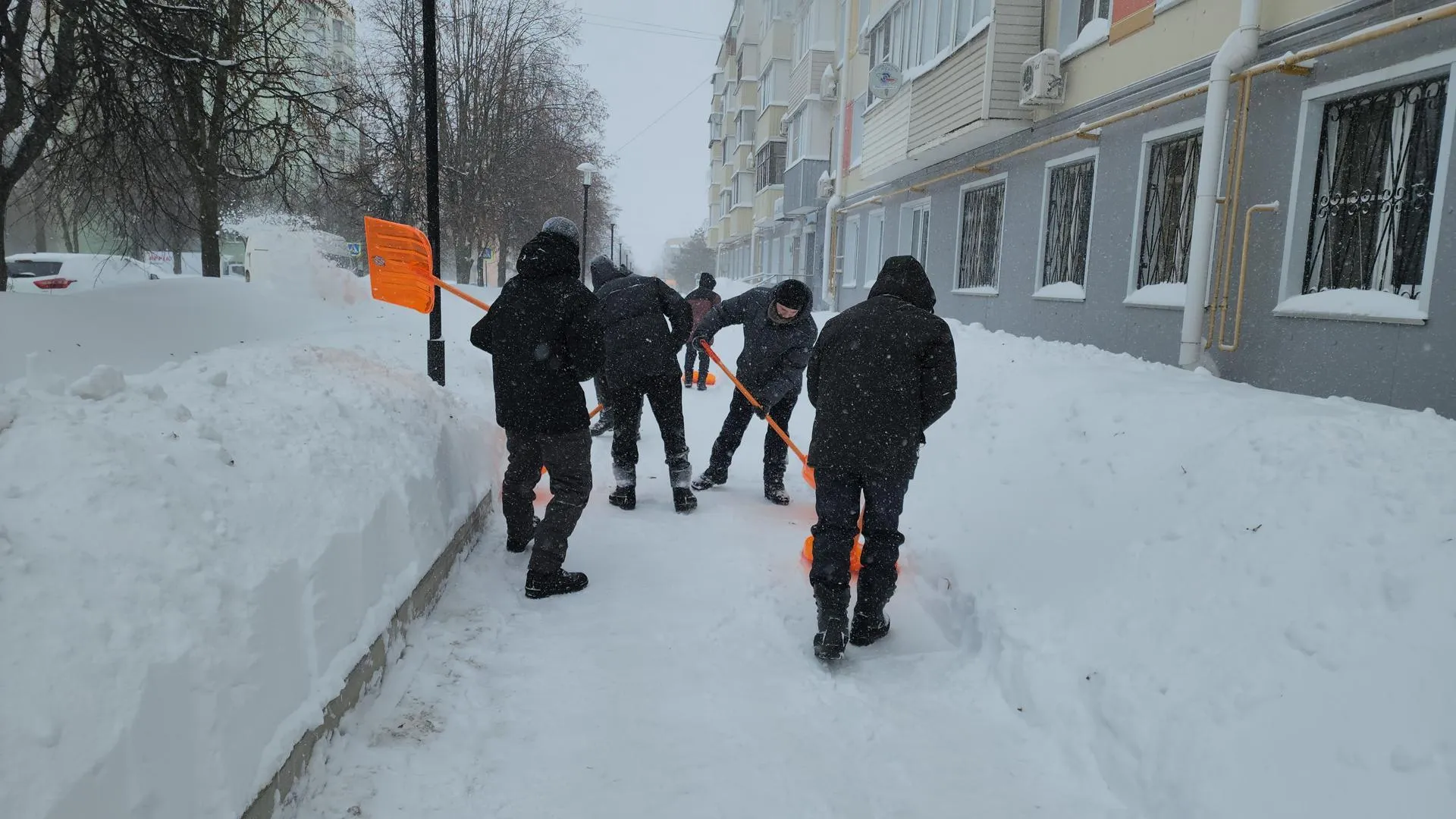 Медиабанк Подмосковья/Иван Дубров