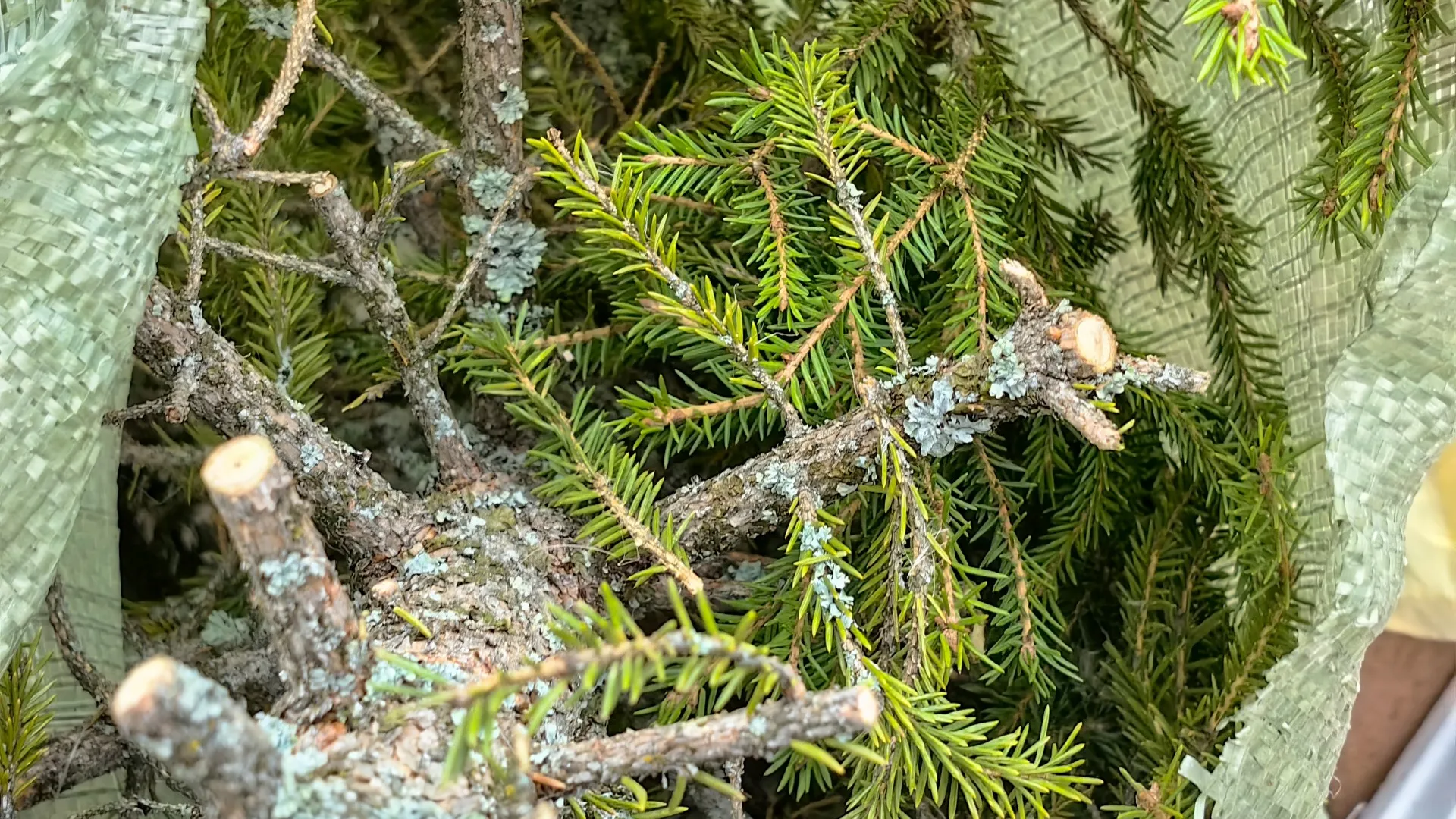 Фото: МедиаБанк Подмосковья/Елена Катасонова