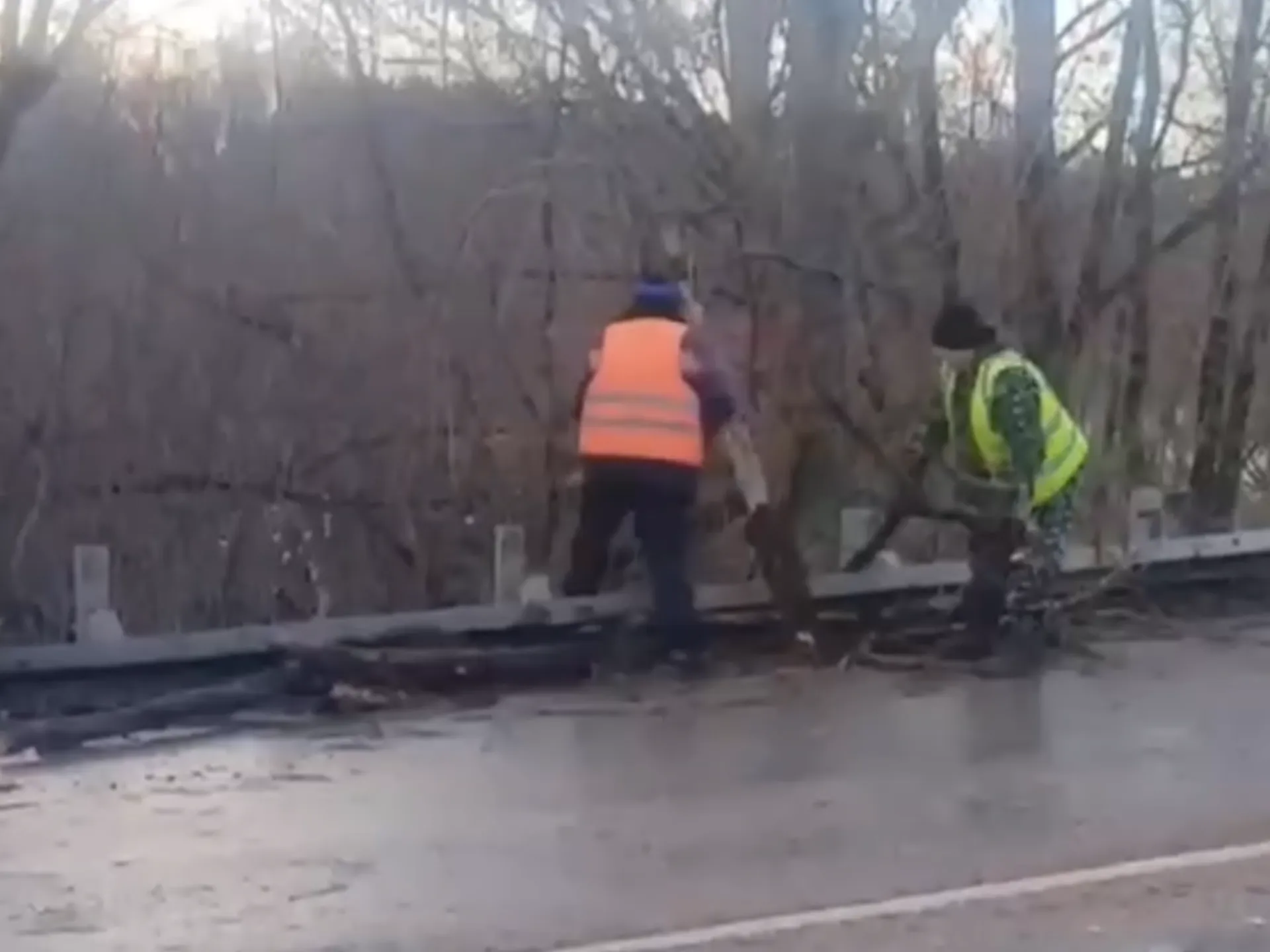 Фото: пресс-служба администрации г.о. Воскресенск