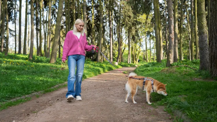 Фото: freepik.com