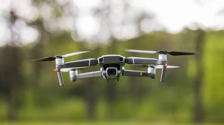 Фото: Freepik.com