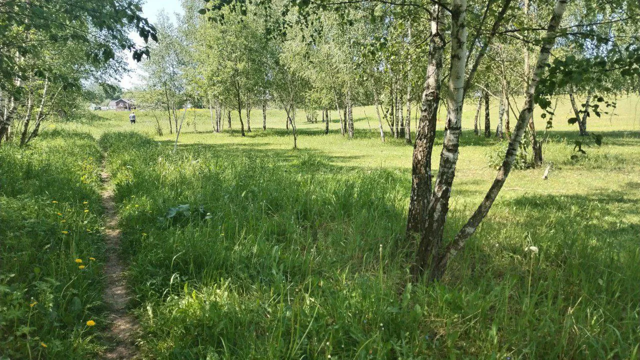 Фото: министерство имущественных отношений Московской области