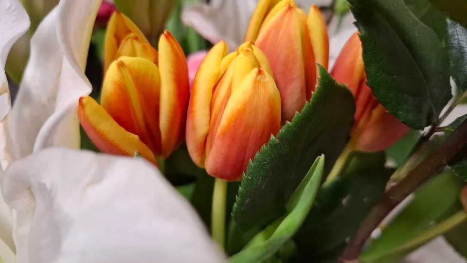 Фото: Юлия Габбасова