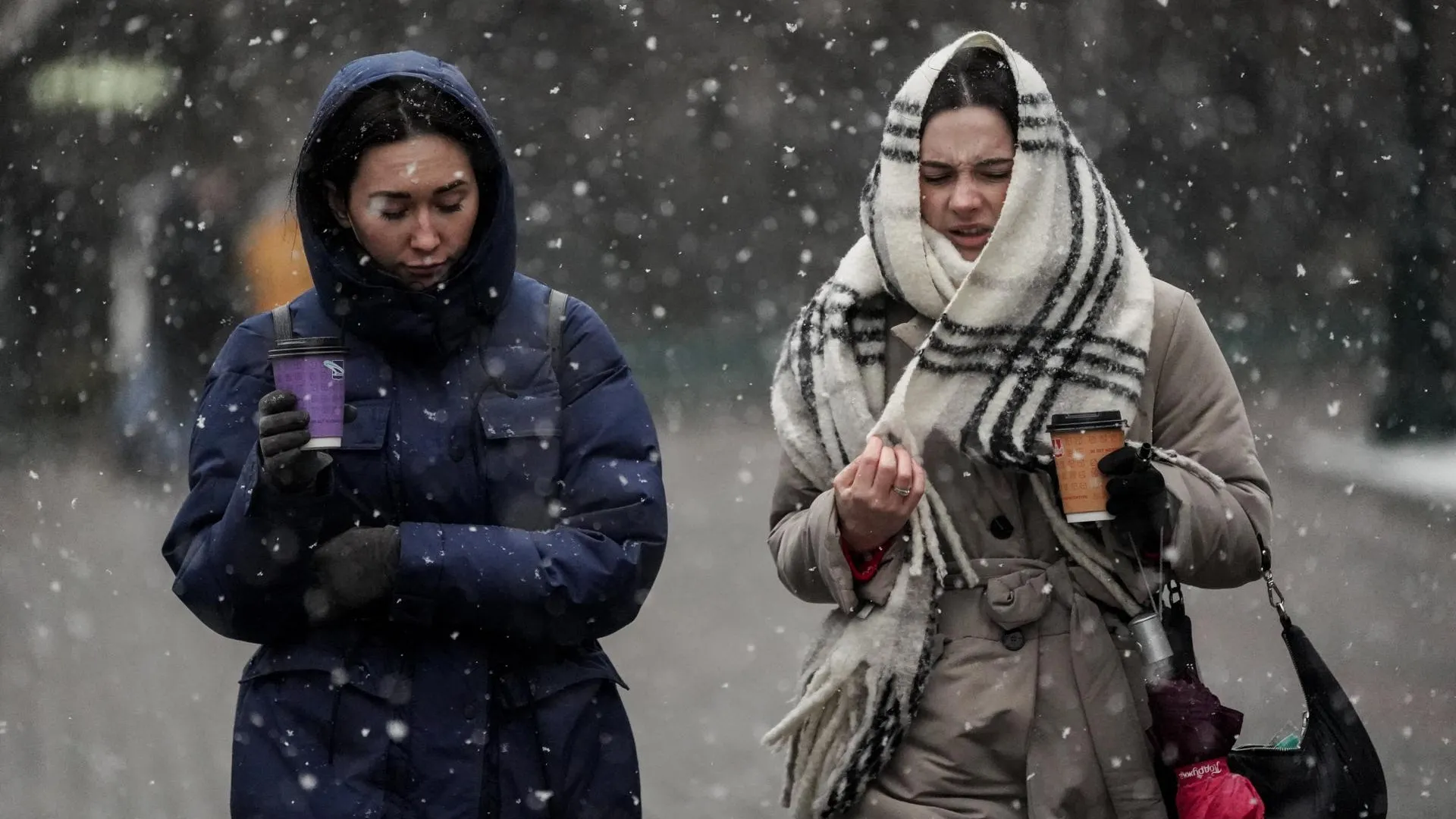 медиасток.рф