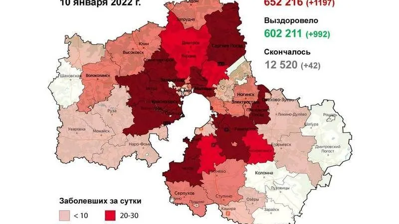 Раменский и Красногорск. Худшие округа по ковиду назвали в Подмосковье