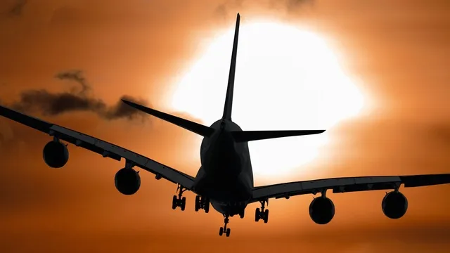 Фото: pxhere.com