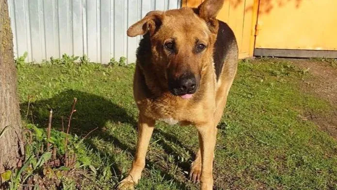 Фото предоставлено очевидцем