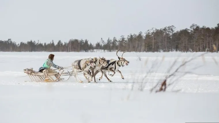 Александр Кулаковский / URA.RU
