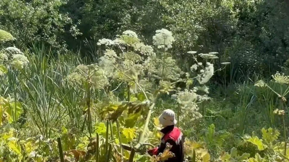 Фото: пресс-служба администрации г.о. Красногорск