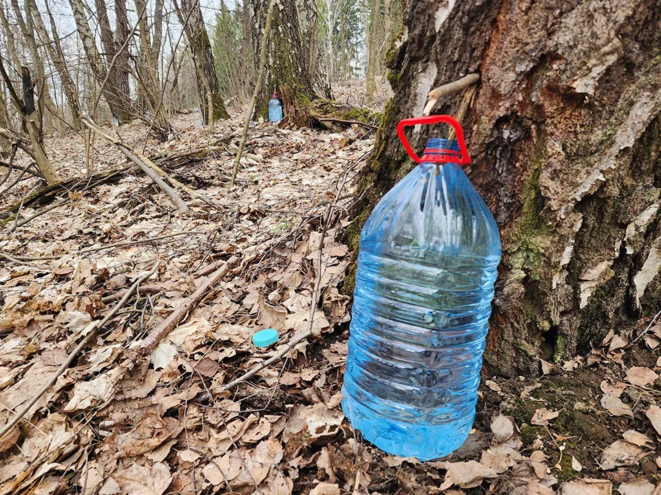 Фото: REGIONS/Мария Панина