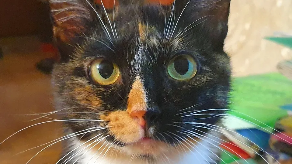 Фото: REGIONS/Александр Дрожжин