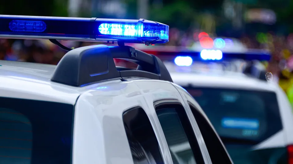 Фото: pxhere.com