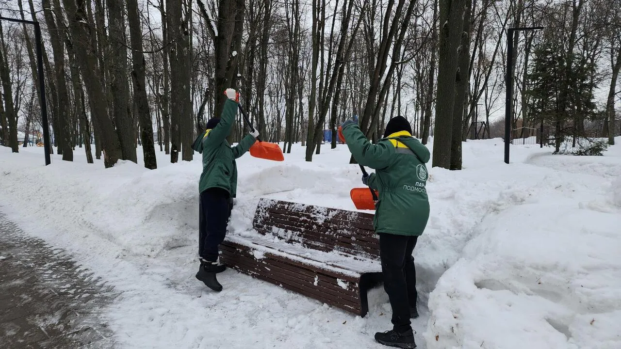 REGIONS/Валерия Тингаева