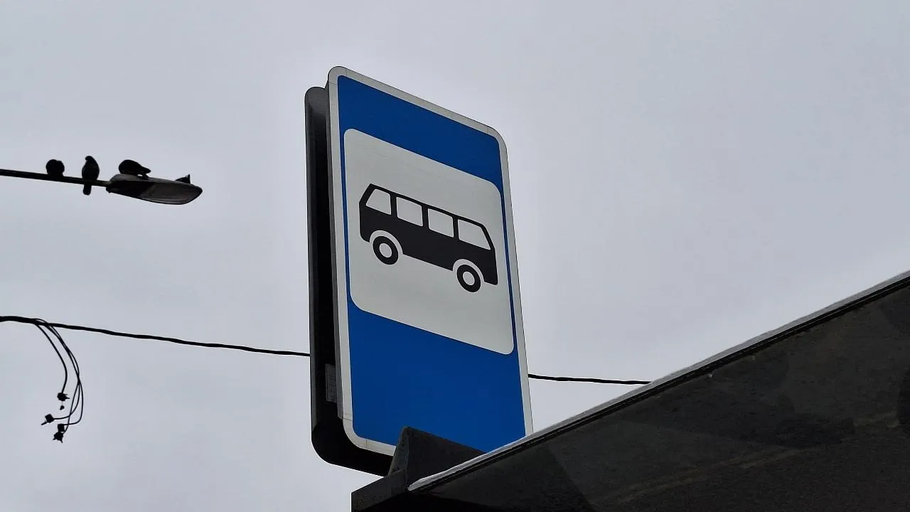 REGIONS/Валерия Тингаева