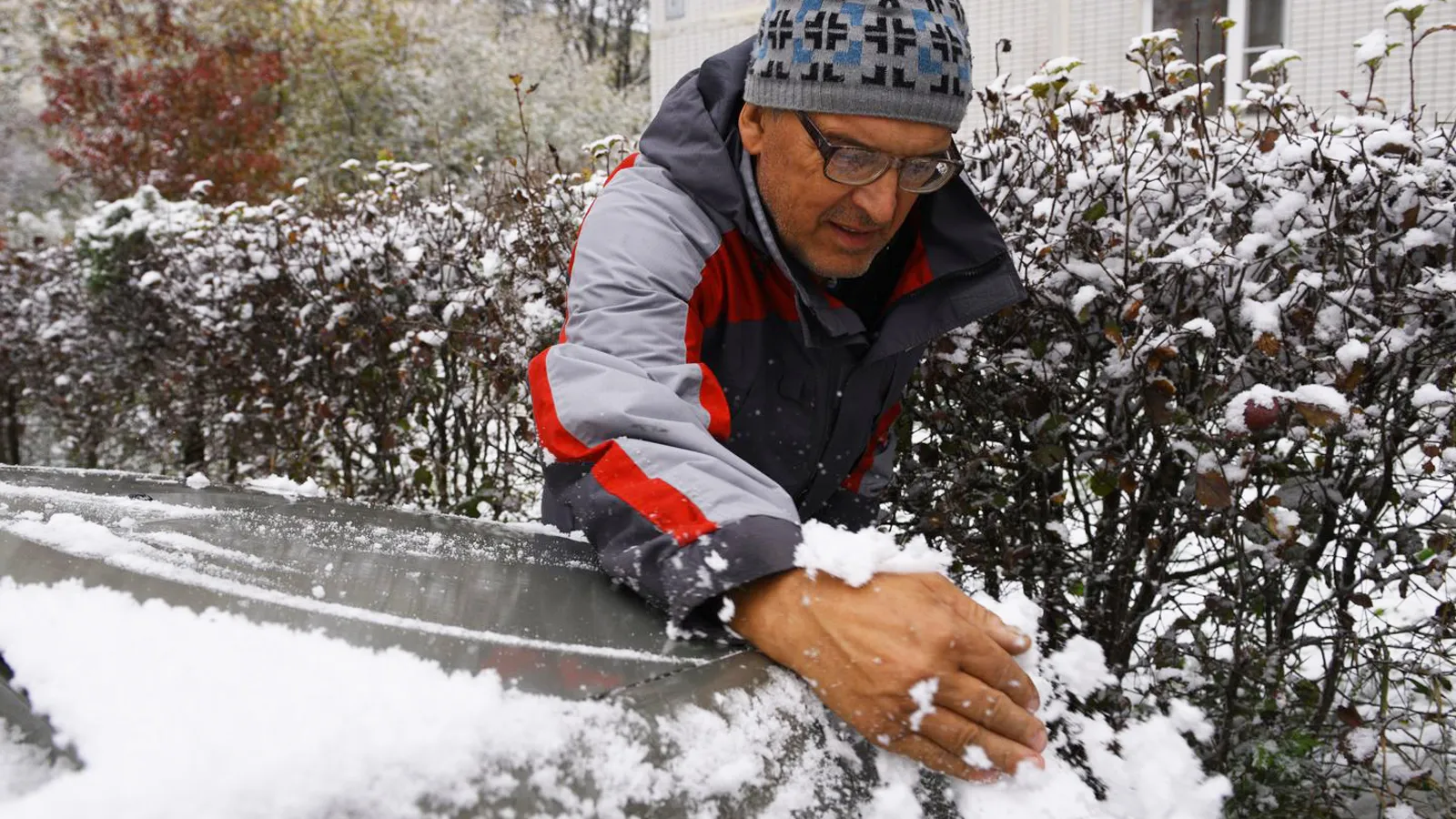 Фото: медиасток.рф